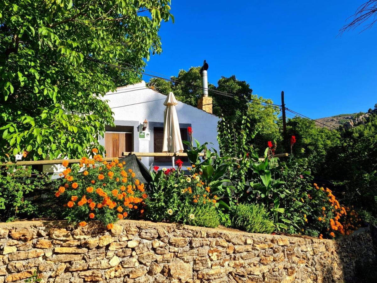 Casas Rurales Los Enebros Nerpio Eksteriør billede