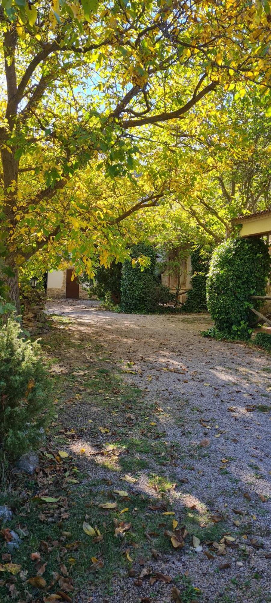 Casas Rurales Los Enebros Nerpio Eksteriør billede