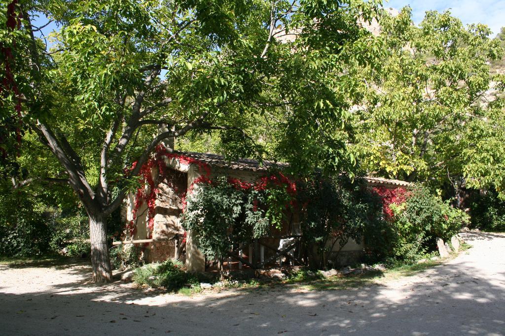 Casas Rurales Los Enebros Nerpio Eksteriør billede