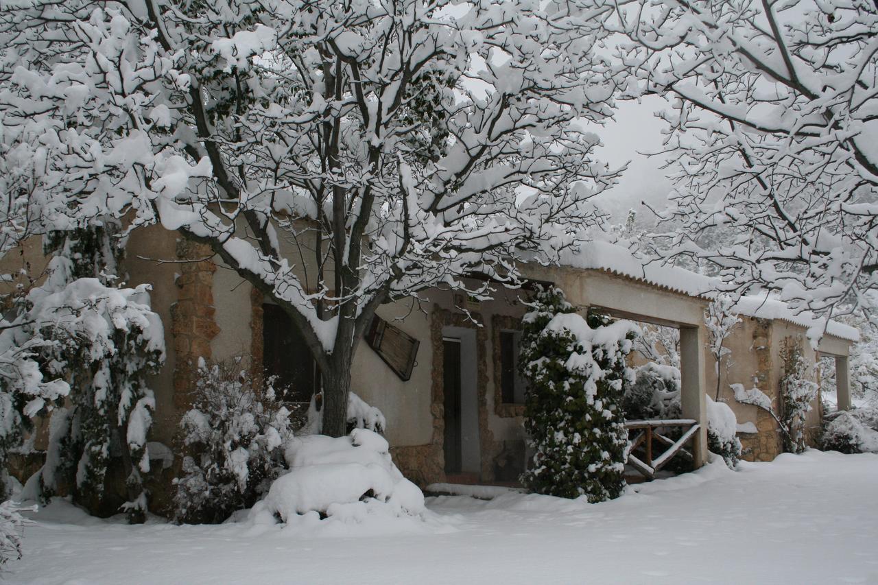 Casas Rurales Los Enebros Nerpio Eksteriør billede